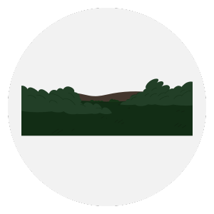 ddjay plot in jhajjar