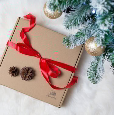 christmas present with red bow