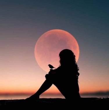 femme assise avec un oiseau devant la lune qui accompagne son voyage intérieur