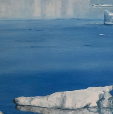 Des oiseaux évoluent sur des icebergs sur une eau calme