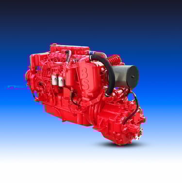 Motori Marini Boni