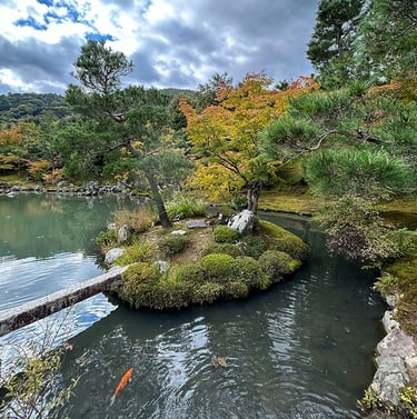 Jardin japonais du temple Tenriyu-Ji avec une carpe koi dans le plan d'eau