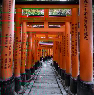 Tunnel de portes torii