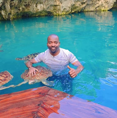 Explore Zanzibar’s marine life and interact with sea turtles for an unforgettable adventure