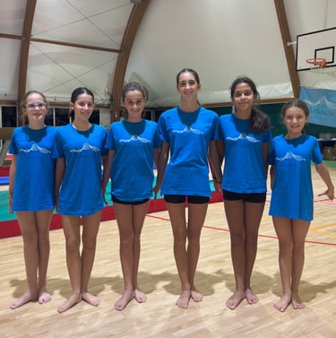 Artistica Jesolo Agonismo Allieve 2