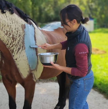 Enveloppement aux algues cheval