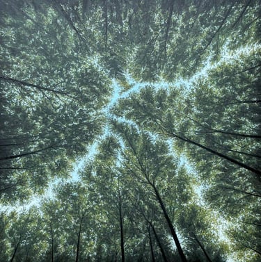 Tableau peinture à l'huile - Canopée