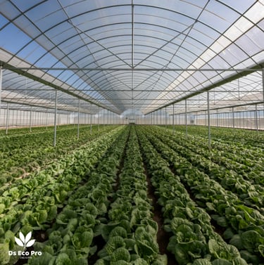 Serres agricoles déshumidificateur primes CEE 2025 AGRI-TH-117 Ds Eco Pro rendement boosté