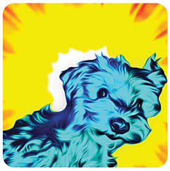 Pop art of artist Yorkshire Terrier, Sparky with blue fur in front of yellow and white sun.
