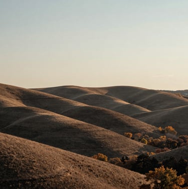 Landscape photography of rolling hills in the Greater Toronto Area during autumn. Muted colors of taupe and dark brown, soft afternoon lighting, clean horizon line and minimalist composition.