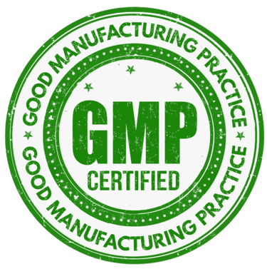 gmp logo