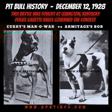 historical dog fighting 1928 currt's man o war vs Armitages Bob Police Gazette Rules