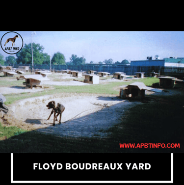 floyd boudreaux apbt history yard tour