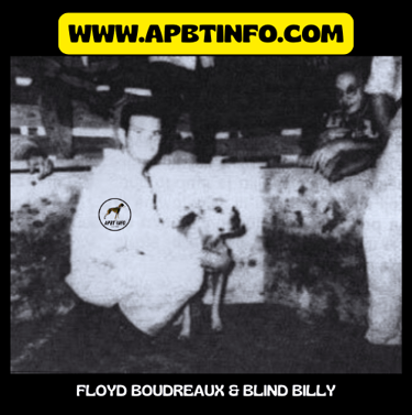 FLOYD BOUDREAUX BLID BILLY APBT HISTORI GAMEDOGS
