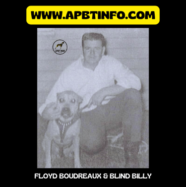 FLOYD BOUDREAUX BLID BILLY APBT BLOODLINE