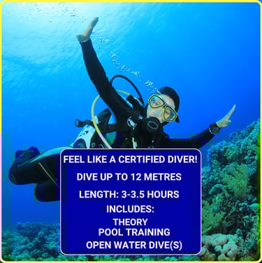 Gili Scuba Diving offers a dive experience to feel like a certified diver: includes 3-5 hours theory, pool training, and an o