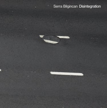 Çağdaş Topal, Serra Bilgincan’ın Disintegration albümünde