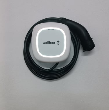 Cargador Wall box pulsar max pared