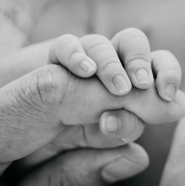 Photographe naissance - Papa Ours Photo