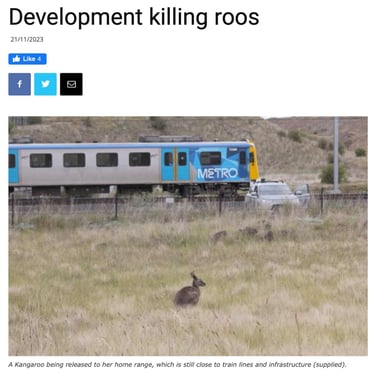Development Killing Roos