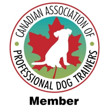 CAPDT logo.