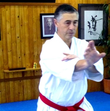 ✧ Gustavo Gondra Hanshi. Our international advisor Gustavo Gondra