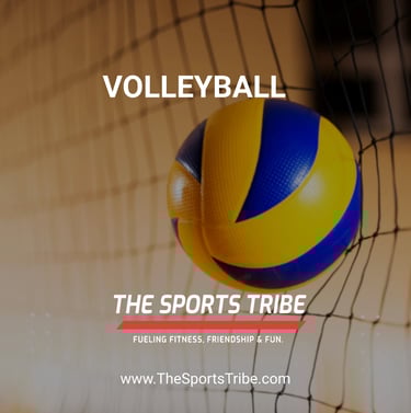 a volleyball ball in the middle of a net net