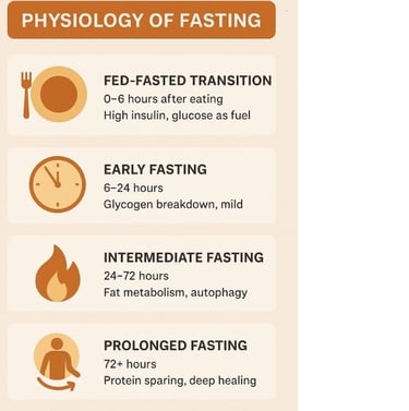 🌙✨ When hunger becomes healing — discover how fasting transforms metabolism, awakens cellular intel