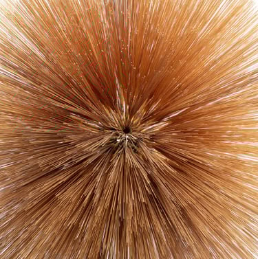 Portada del disco Of the Near and Far.