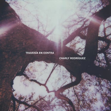 Portada del disco Travesía en Contra.