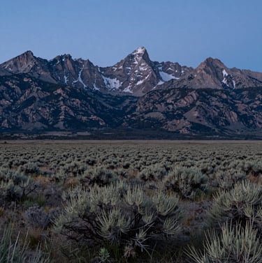 An elegant wide-shot of the Ruby Mountains in Northeast Nevada. The foreground consists of a vast, tranquil meadow with scattered sagebrush. The lighting is that of the blue hour, providing a sense of trust and professional clarity. The composition is balanced and majestic.