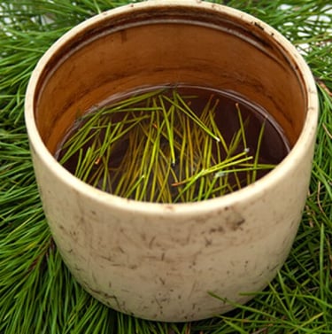 retiros plantas naturaleza cercedilla yoga meditacion