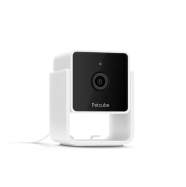 petcube security camera