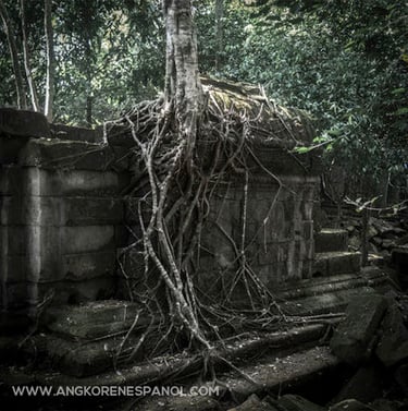 Templo de Beng Mealea