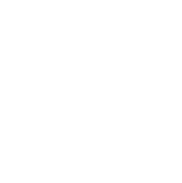 water wings logo