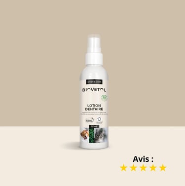 Flacon de lotion dentaire pour l’hygiène des dents et des gencives d'animaux