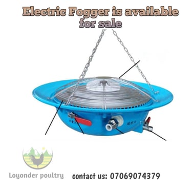 Electric fogger
