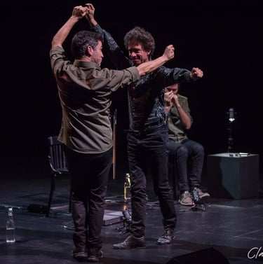 Chaudin la montagne blessée - Crédit photo Claude Mery - Artéphile journées pros 2026