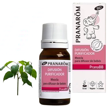 pranaroim-pranabb-purificador-mezcla-para-difusor-10ml.