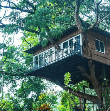 Tree Hut Hotel: Toilets, Hot water supply wish shower facilities