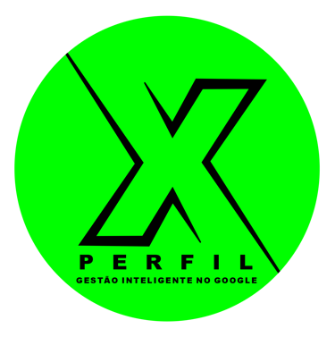 Agencia Perfil X Gestao Inteligente no Google