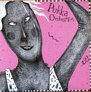 The Pukka Orchestra (their first album)