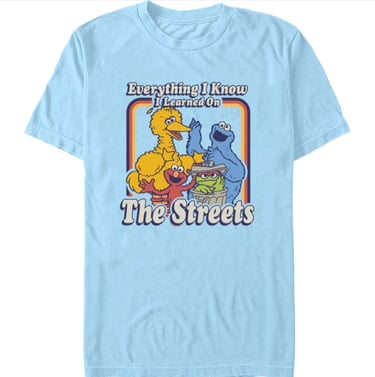 Everything I Know I Learned On The Streets Sesame Street T-Shirt