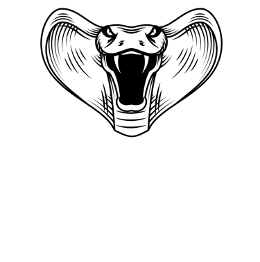 Investigadores Detectives Privados en México