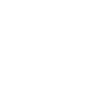 Diagnostic wheel