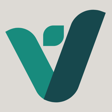 Virtuscapes logo