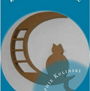 Livre les cartons de Sophie