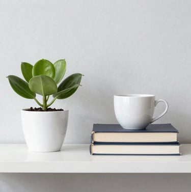 green plant on white ceramic pot