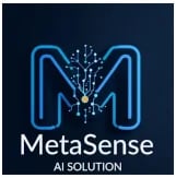 MetaSense AI Solution