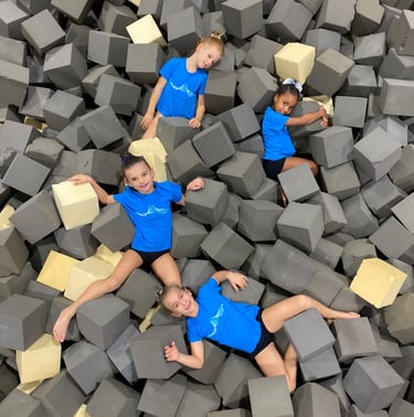 Artistica Jesolo Young 1